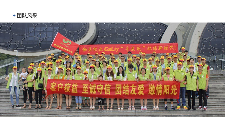 進(jìn)口金卡牛皮紙